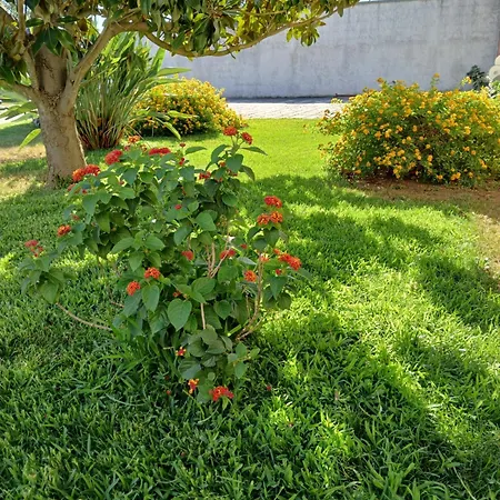 Lantana Appartement
